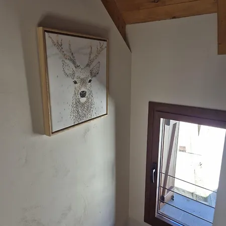 Ruraltena * Piedrafita de Jaca